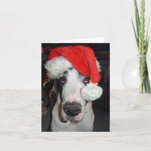 Great Dane 'Gunner' as Santa Greeting Card