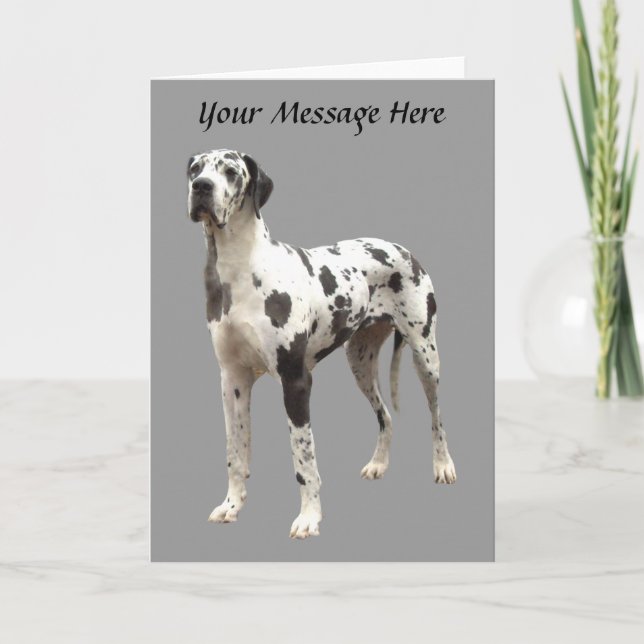 Great Dane Harlequin Greeting Card (Front)