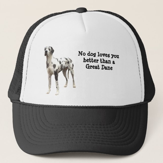 Great Dane Harlequin Hat (Front)