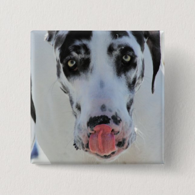 Great Dane - Harlequin - My Tongue Touches My Nose 15 Cm Square Badge (Front)