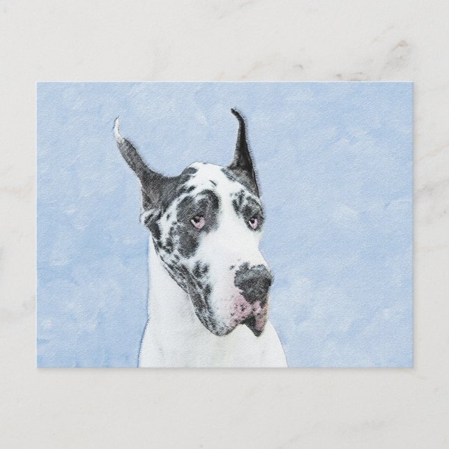 Great Dane (Harlequin) Painting - Original Dog Art Postcard (Front)