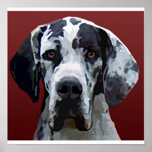 Great Dane Harly  Poster 12.5