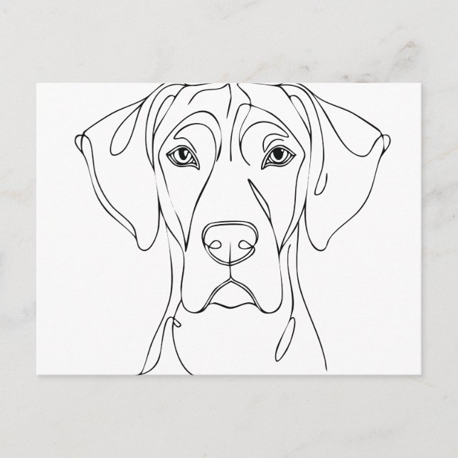 Great Dane Head drawing II Postcard (Front)