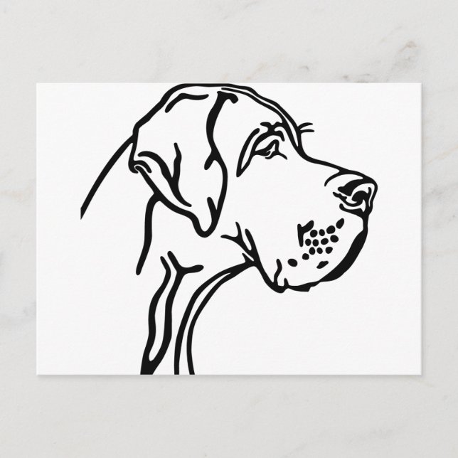Great Dane Head drawing Postcard (Front)