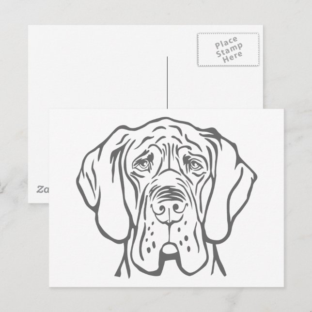 Great Dane Head drawing Postcard (Front/Back)