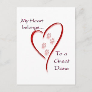 Great Dane Heart Belongs Postcard