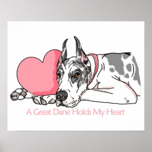 Great Dane Holds Heart Harlequin Poster