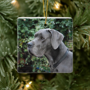 Great Dane Images Ceramic Ornament