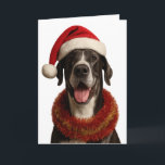 Great Dane in a Santa hat Christmas card<br><div class="desc">One very handsome grey and white Great Dane sporting a Santa hat, adorned in tinsel and looking very happy that it's Christmas! I know that Great Danes come in an array of colours so there are other colours available. Why not wish a lucky someone a Happy Christmas with this Great...</div>