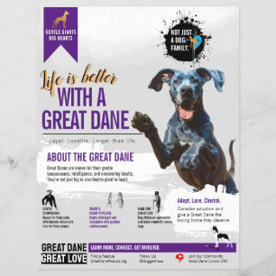 Great Dane information Flyer 