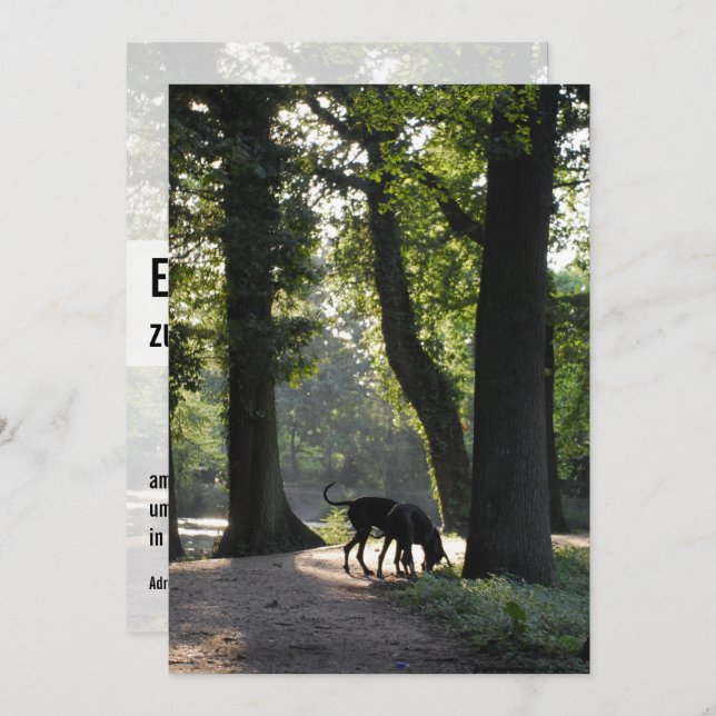 Great Dane Invitation (Front/Back)