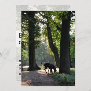 Great Dane Invitation