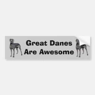 Great Dane King of Dogs Bumper Sticker