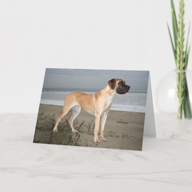 Great Dane King of Dogs Greeting Card (Front)