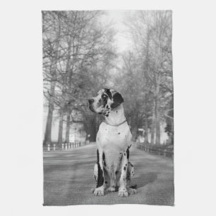 Great Dane Kitchen Towels