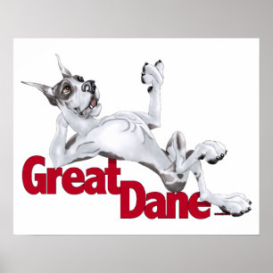 Great Dane Laid Back Harlequin Poster