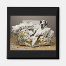 Great Dane Lounging on Chewed Sofa Magnet