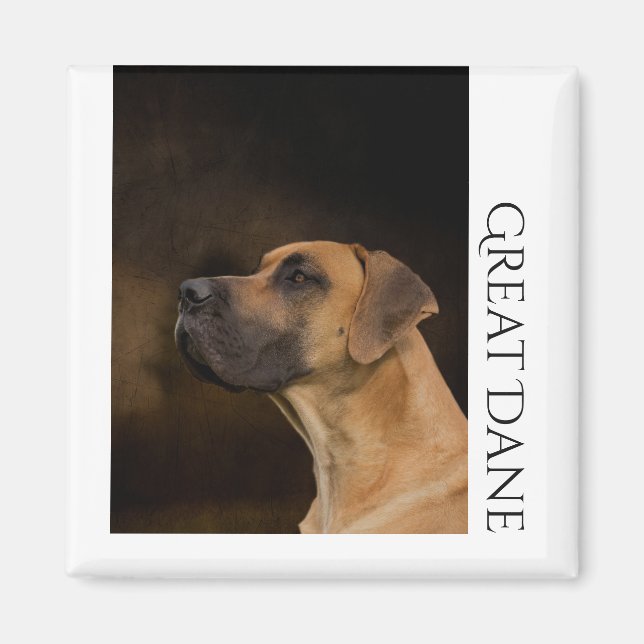 Great Dane Magnet (Front)