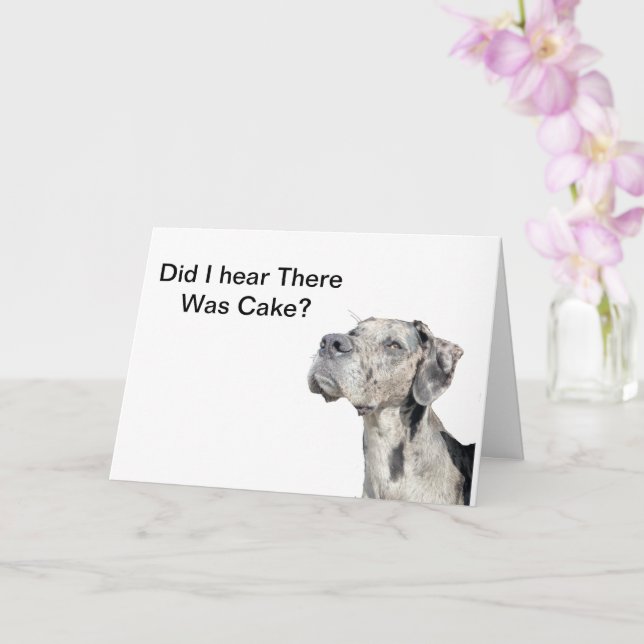 Great Dane Merle - Funny Birthday Card (Orchid)