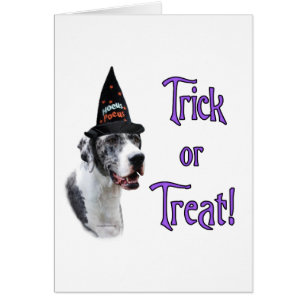 Great Dane (merle) Trick