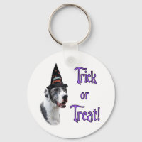 Great Dane (merle) Trick