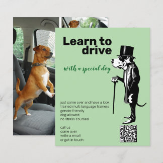 Great Dane Mister Alf driver flyer 