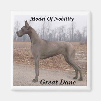 Great Dane, Model Of Nobility Magnet
