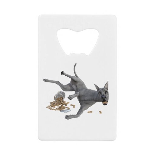 Image of Great Dane Naughty Dog with Cookies