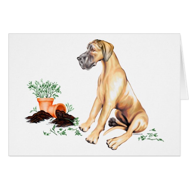 Great Dane Naughty Pup Fawn UC (Front Horizontal)