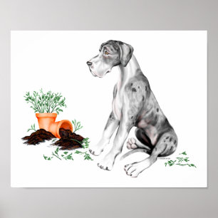 Great Dane Naughty Pup MerleB UC Poster