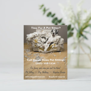 Great Dane on Chewed Sofa Pet Sitting Flyer 4x5