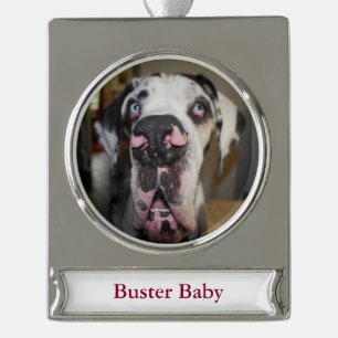 Great Dane Ornament