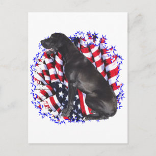 Great Dane Patriot Postcard