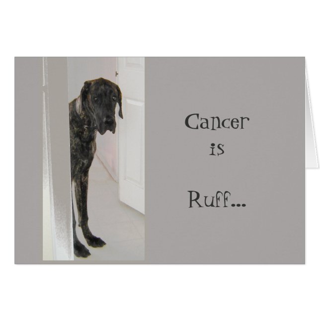 Great Dane Pet Dog Divorce Cancer I'm here for you (Front Horizontal)