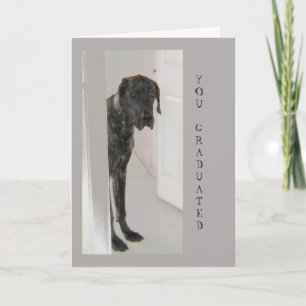 Great Dane Pet Dog Humour Congratulations Grad Card