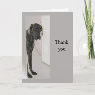 Great Dane  Pet Dog Humour Thank you