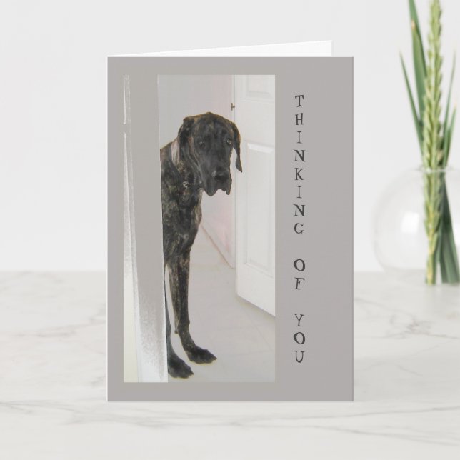 Great Dane Pet Dog Humour Thinking of You Card (Front)
