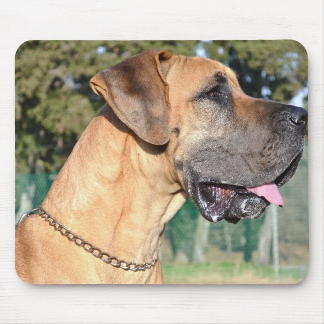 Great Dane Photo Mouse Pad (Front)