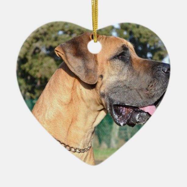 Great Dane Gifts & Gift Ideas | Zazzle UK
