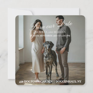 Great Dane Photography Wedding Save The Date