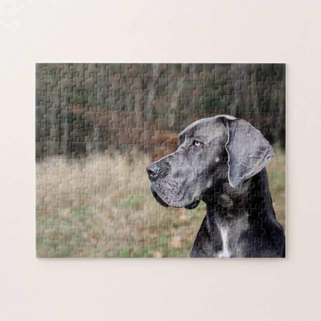 Great Dane Portrait Jigsaw Puzzle (Horizontal)