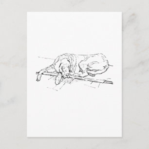 Great Dane Postcard, Ink Dog Illustration Postcard