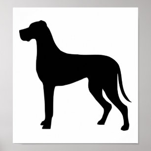 Great Dane Poster