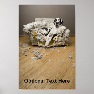 Great Dane Poster