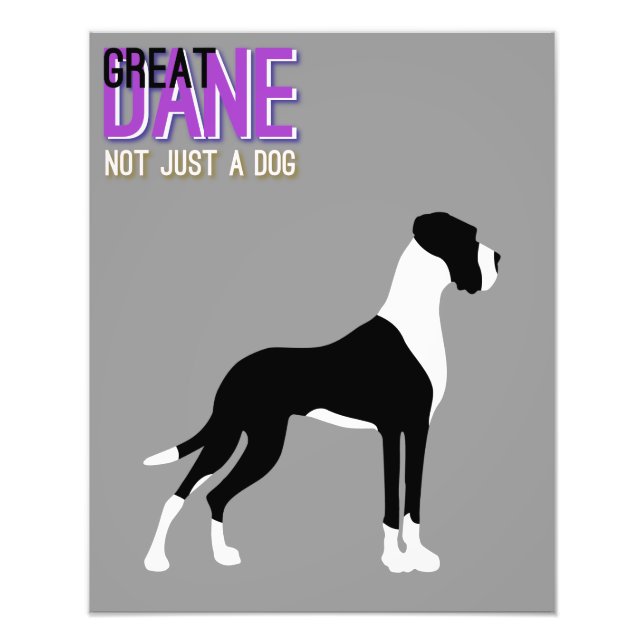 Great Dane Poster (Front)