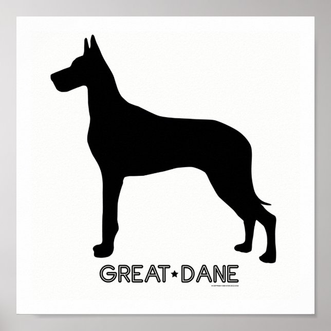 Great Dane Print (Front)