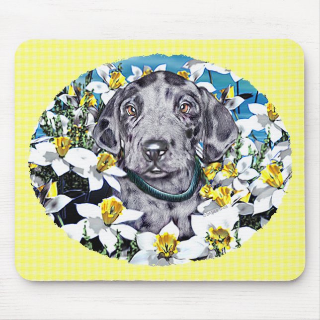 Great Dane Pup in Daffodils Merle Mouse Mat (Front)