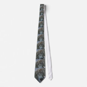 Great Dane Pup Tie
