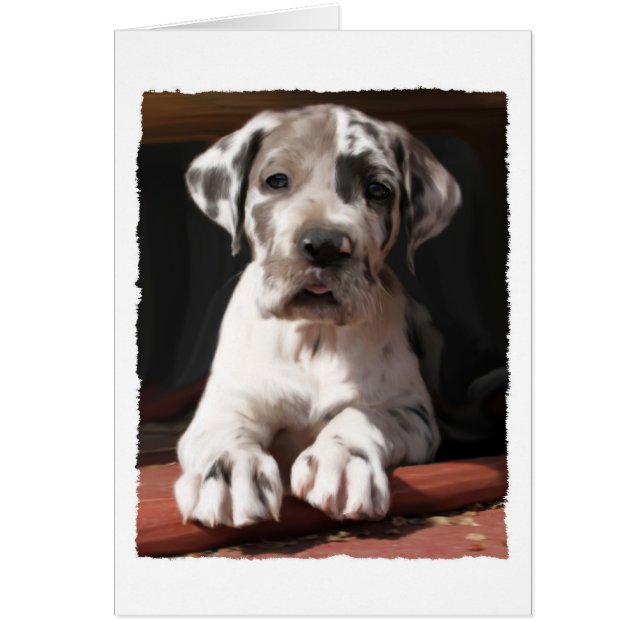 Great Dane Puppy greeting card (Front)