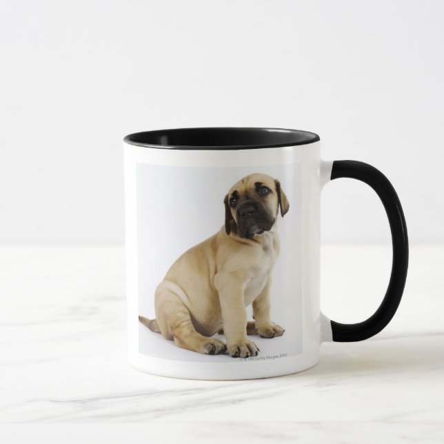 Great Dane Puppy Sitting in Studio Mug (Right)